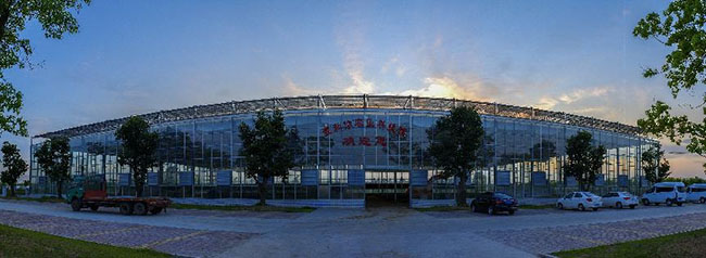 图片35.jpg