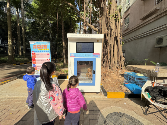 萌宠美美自助洗宠机：潜力赛道，小成本撬动大市场！