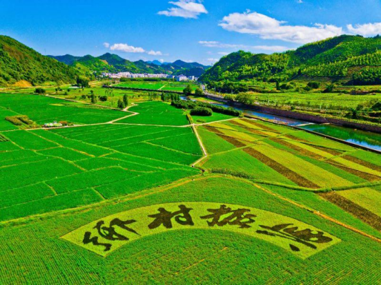 木寸数科：借势数字中国战略，抢占2850区县数字化基建红利