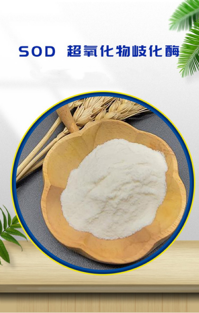 卉植萃如何编织“乡村振兴”与“全民健康”的价值网