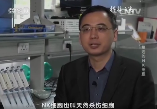 央视聚焦:NK免疫细胞——抗癌防复发与免疫调节的“全能卫士”