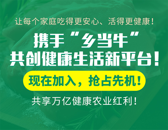2026食养赛道，普通人逆袭的最佳 
