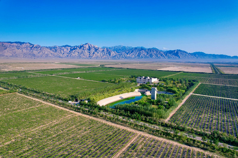 东麓智能酒柜：智能零售新风口，开启普通人酒业投资新路径