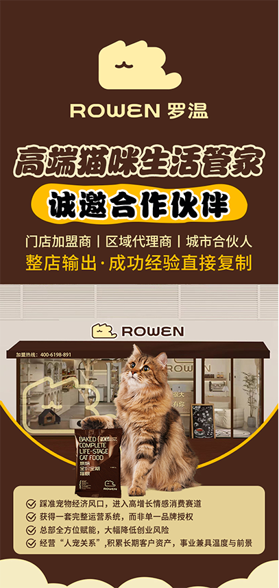 从“猫经济”到“人宠共融”：罗温如何重新定义高端宠物生活新范式