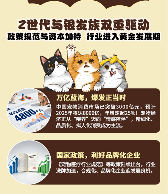 从“猫经济”到“人宠共融”：罗温如何重新定义高端宠物生活新范式