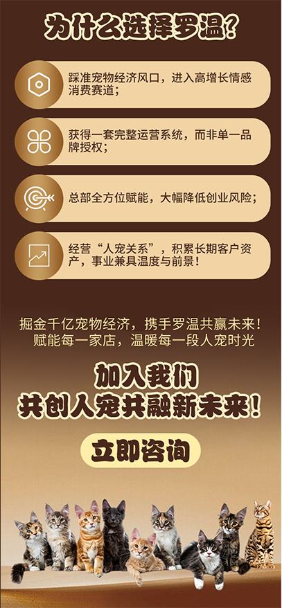 从“猫经济”到“人宠共融”：罗温如何重新定义高端宠物生活新范式