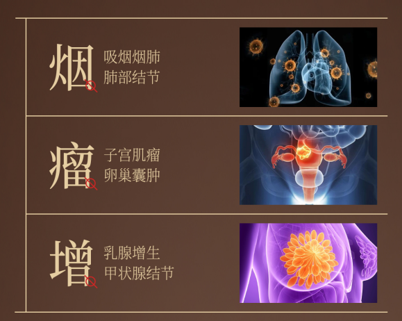 肺结节、乳腺增生、甲状腺结节:当“结节体质”遇上千年汉方